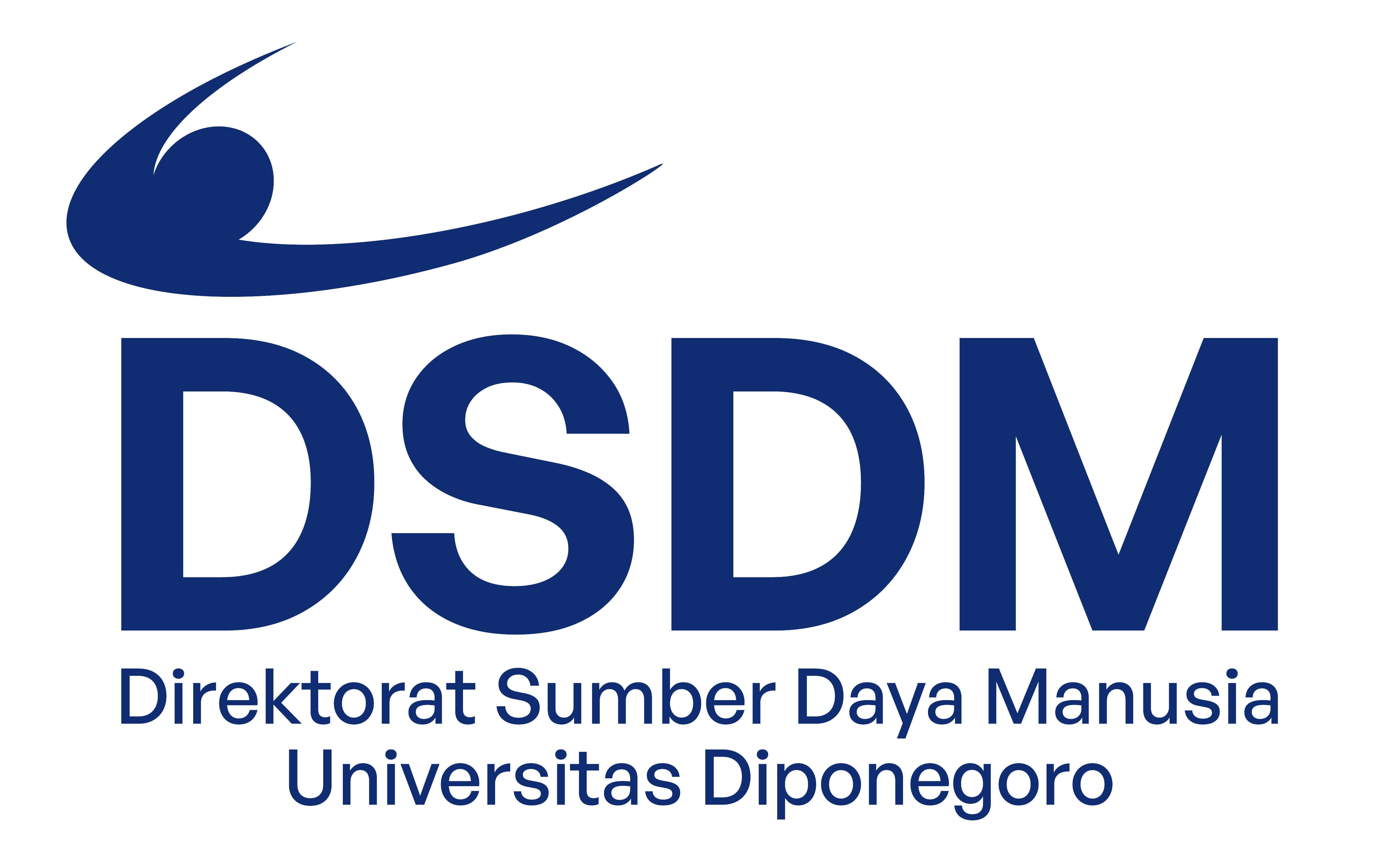 Logo DSDM